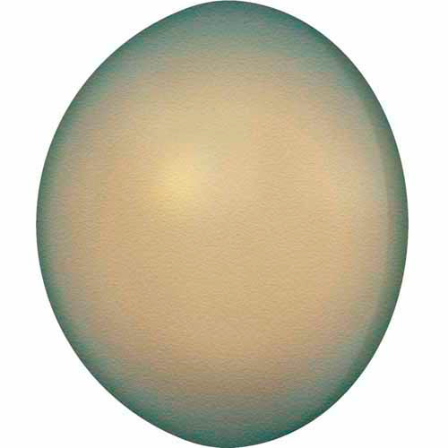 Serinity Pearls Cabochon (5817) Crystal Iridescent Green