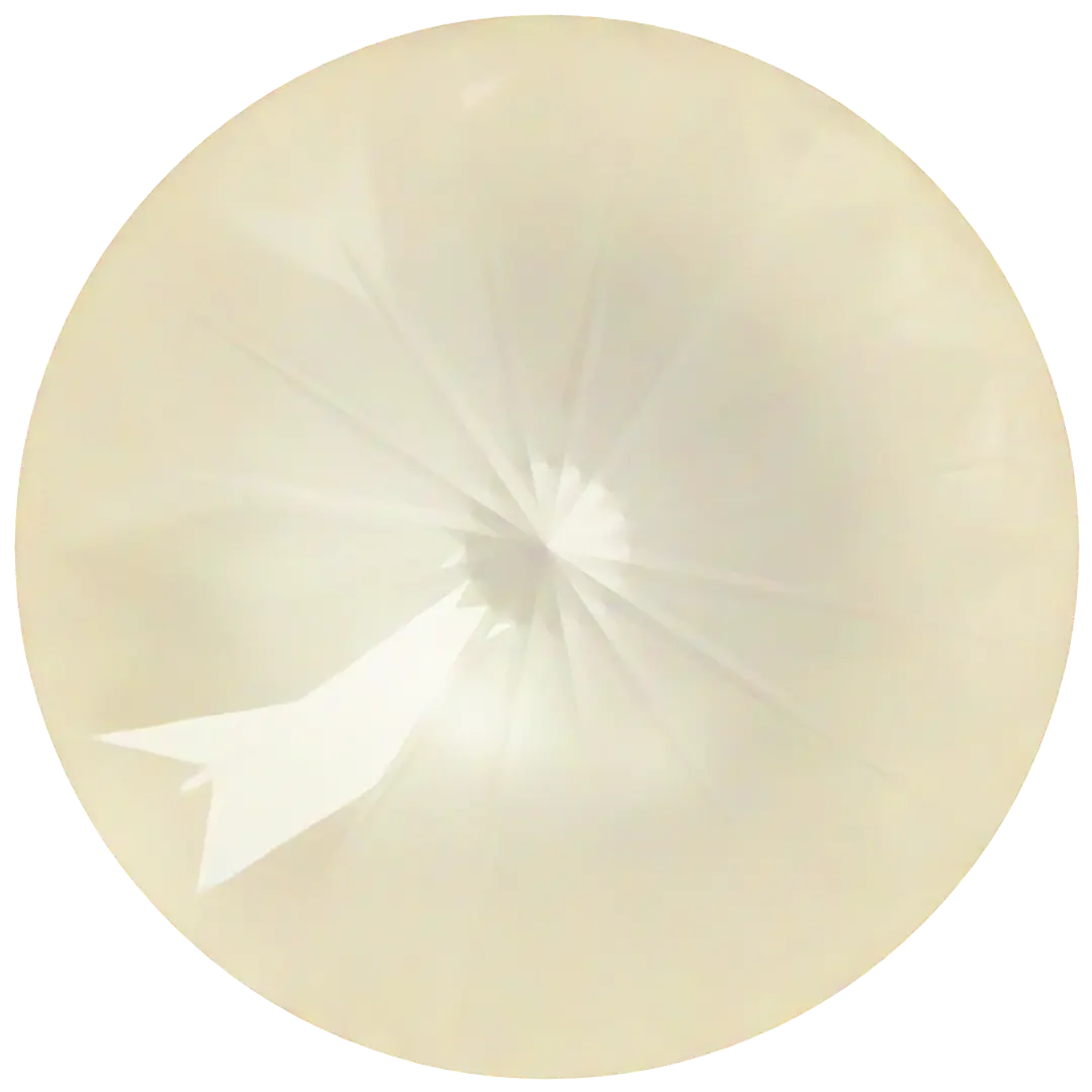 Swarovski Chatons Round Stones Rivoli (1122) Crystal Linen Ignite UNFOILED - Bluestreak Crystals