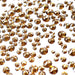 Swarovski Flat Back Crystals Non Hotfix Size Mix Crystal Golden Shadow - Bluestreak Crystals