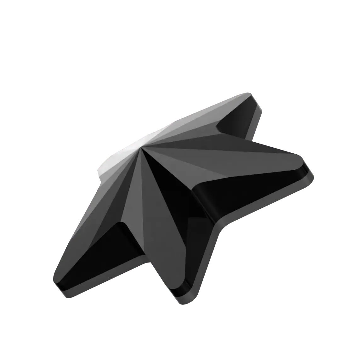 Serinity Hotfix Flat Back Crystals Rivoli Star (2816) Jet - Bluestreak Crystals